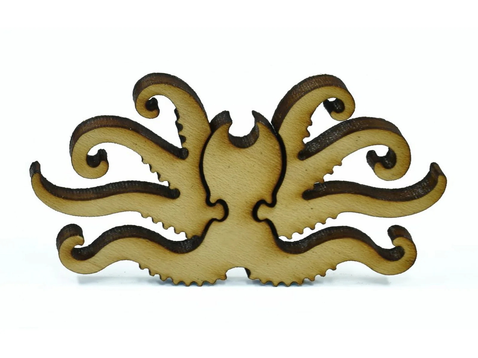 Octopus - Image 9