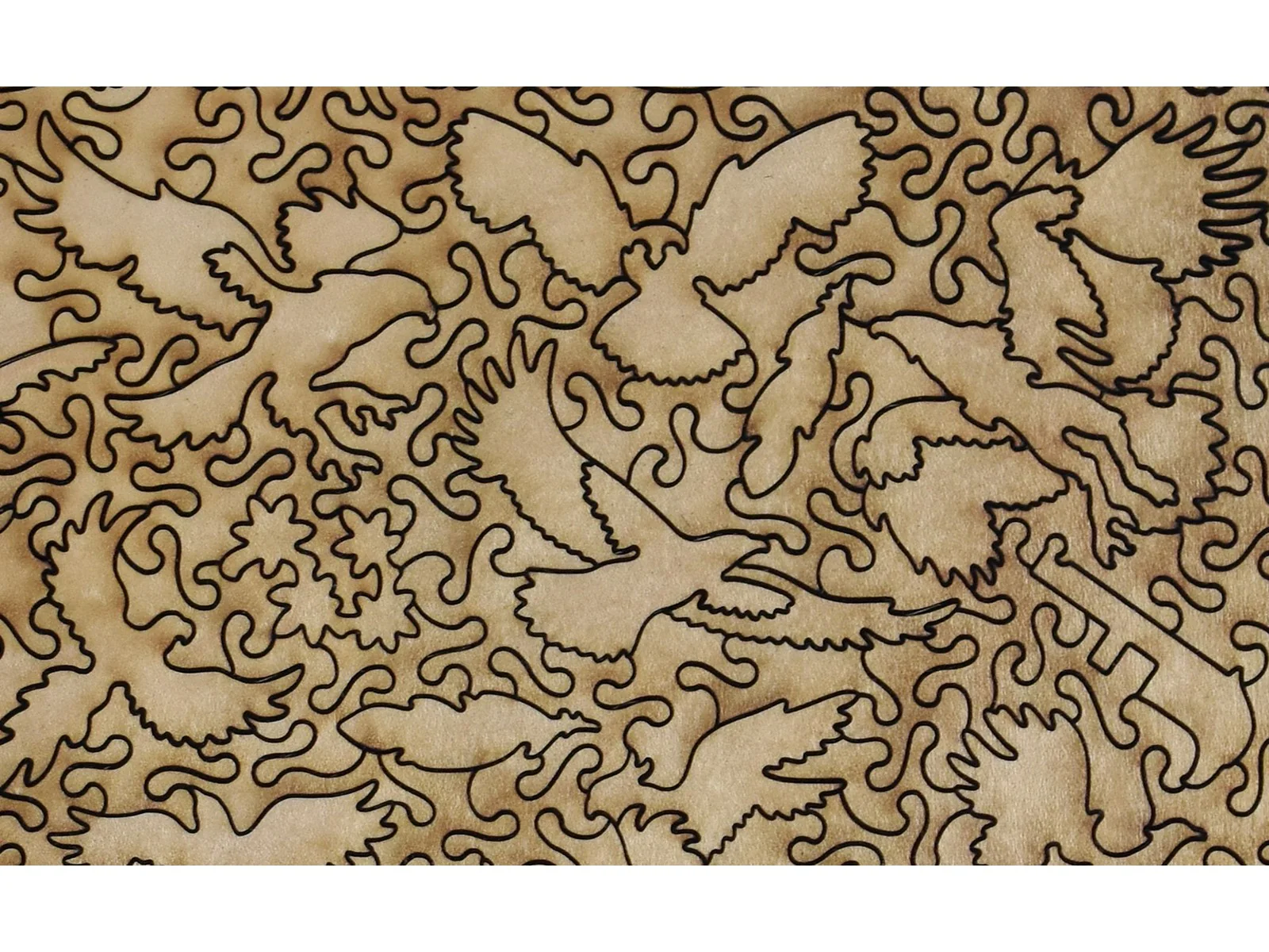 Oiseaux: Varieties of Birds - Image 3