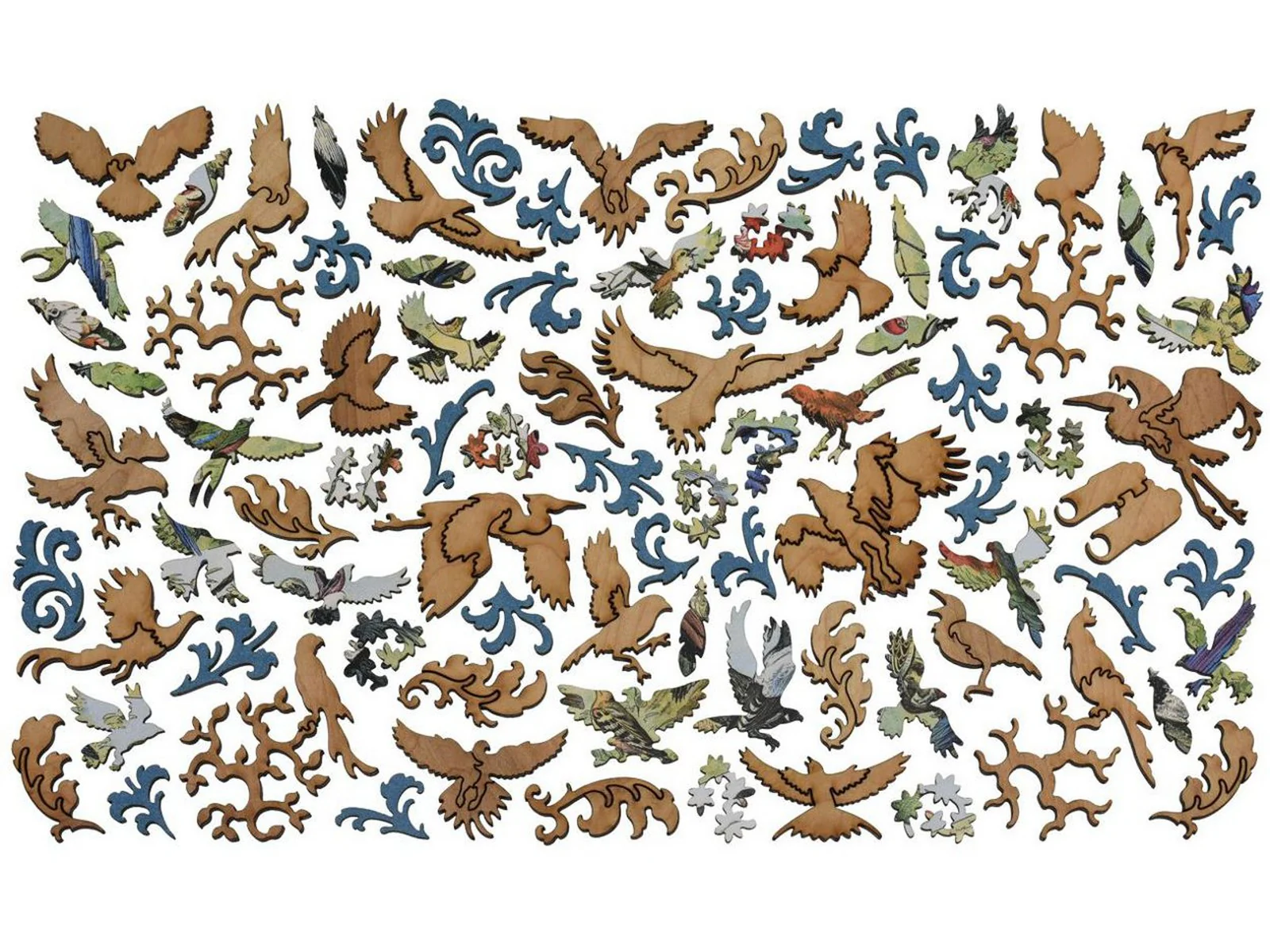 Oiseaux: Varieties of Birds - Image 5