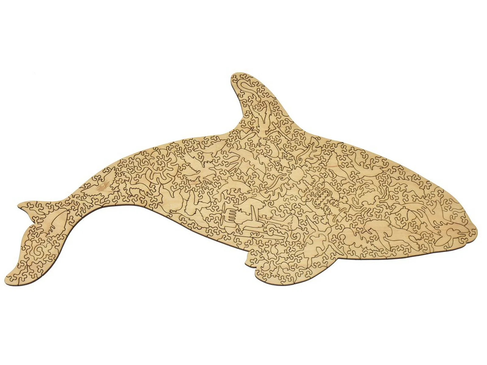Orca - Image 3