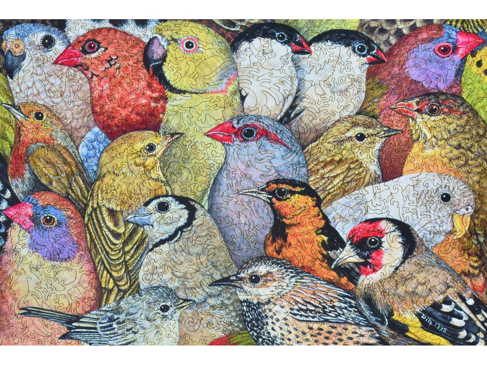 Patchwork - Birds