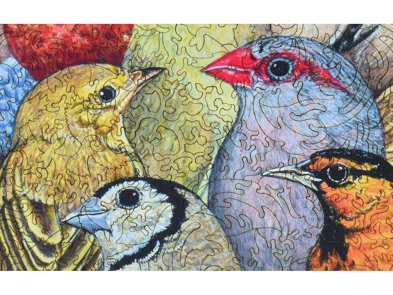 Patchwork - Birds - Image 2