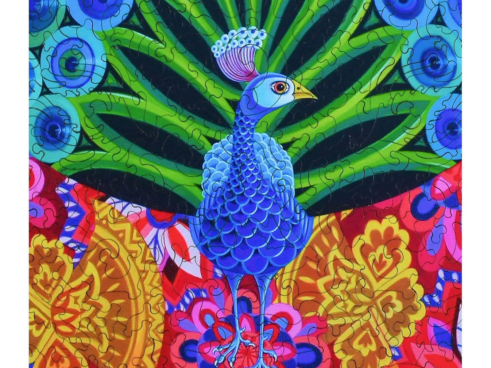 Peacock and Pattern - Image 2