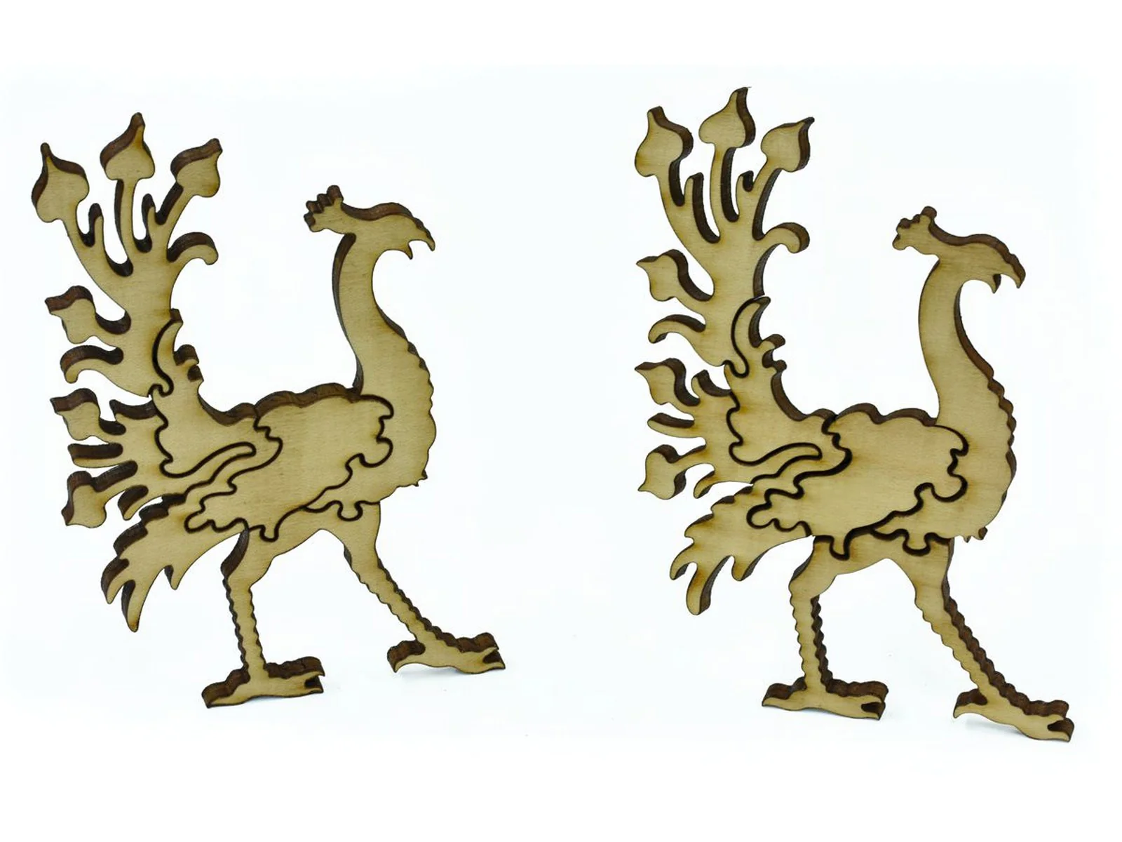 Peacock and Pattern - Image 6