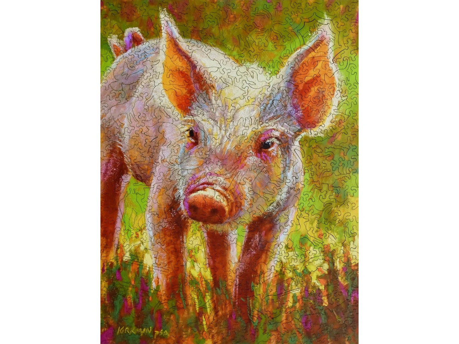 Piggy