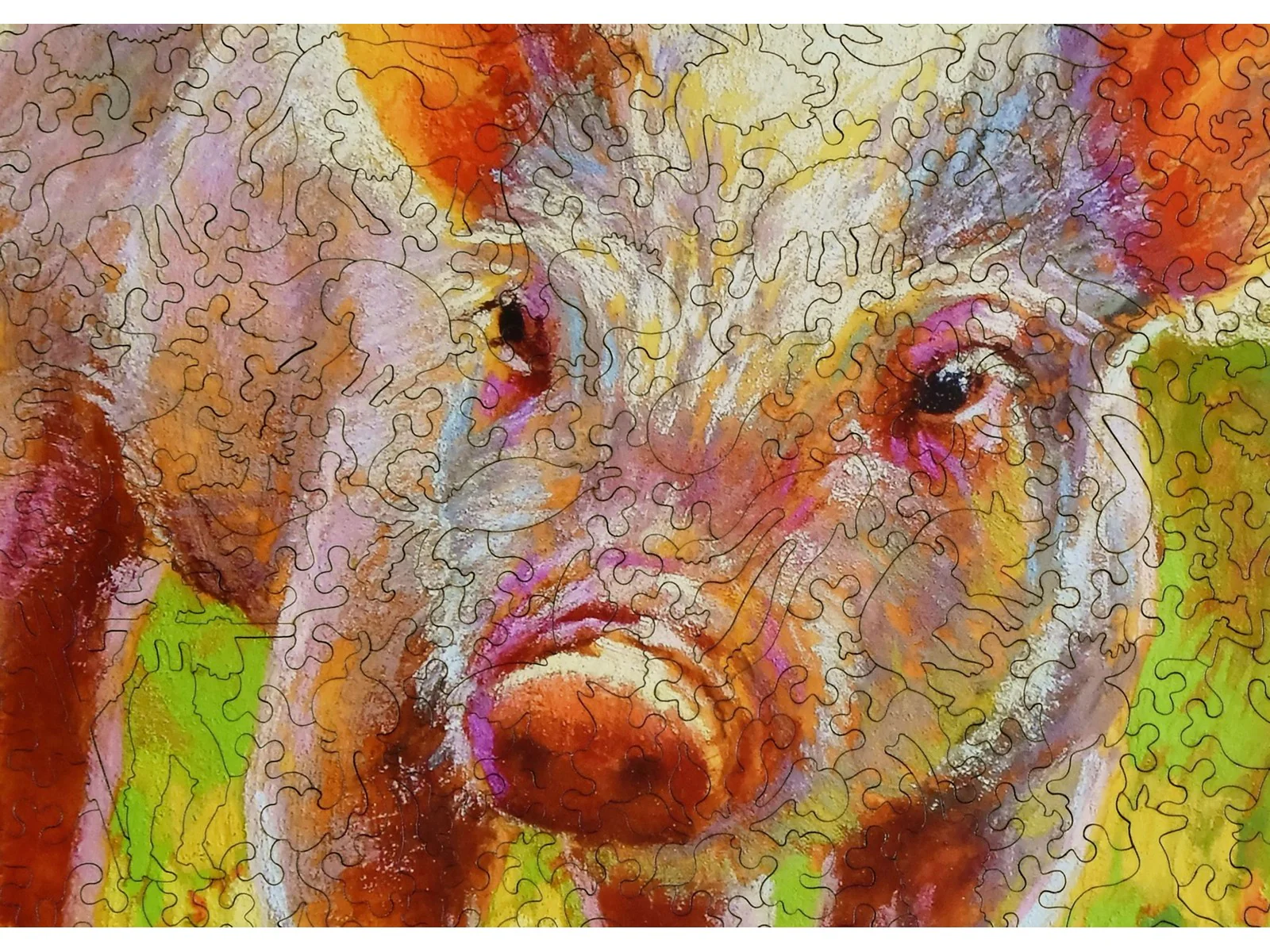 Piggy - Image 2