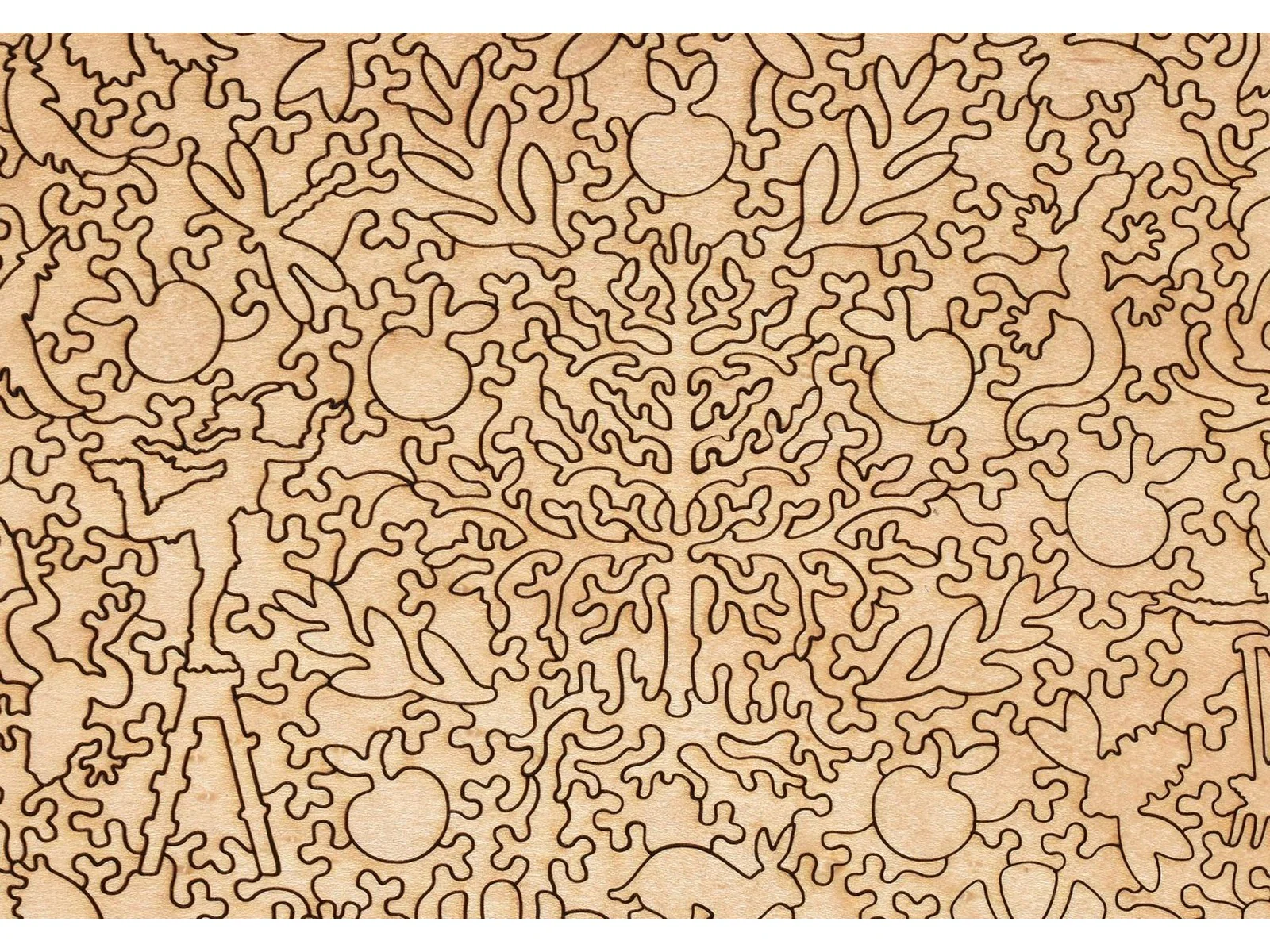 Plum Tree - Image 3