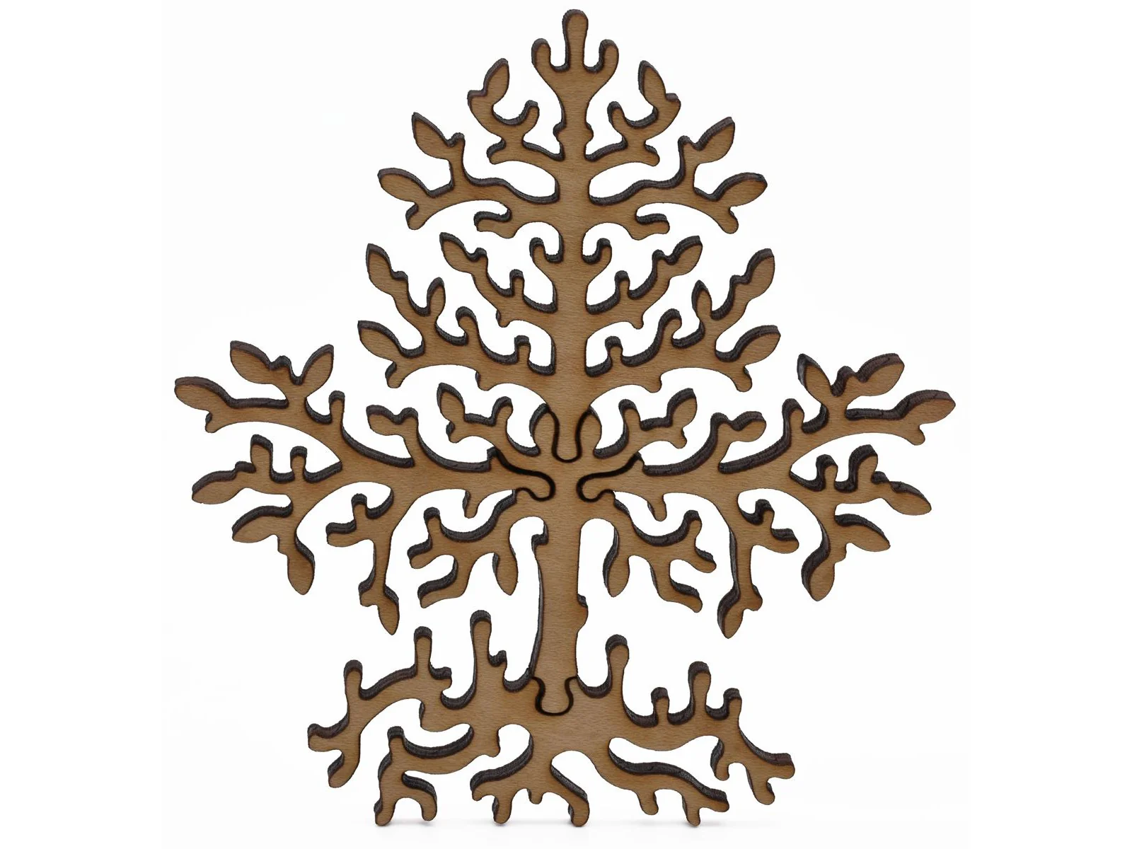 Plum Tree - Image 7