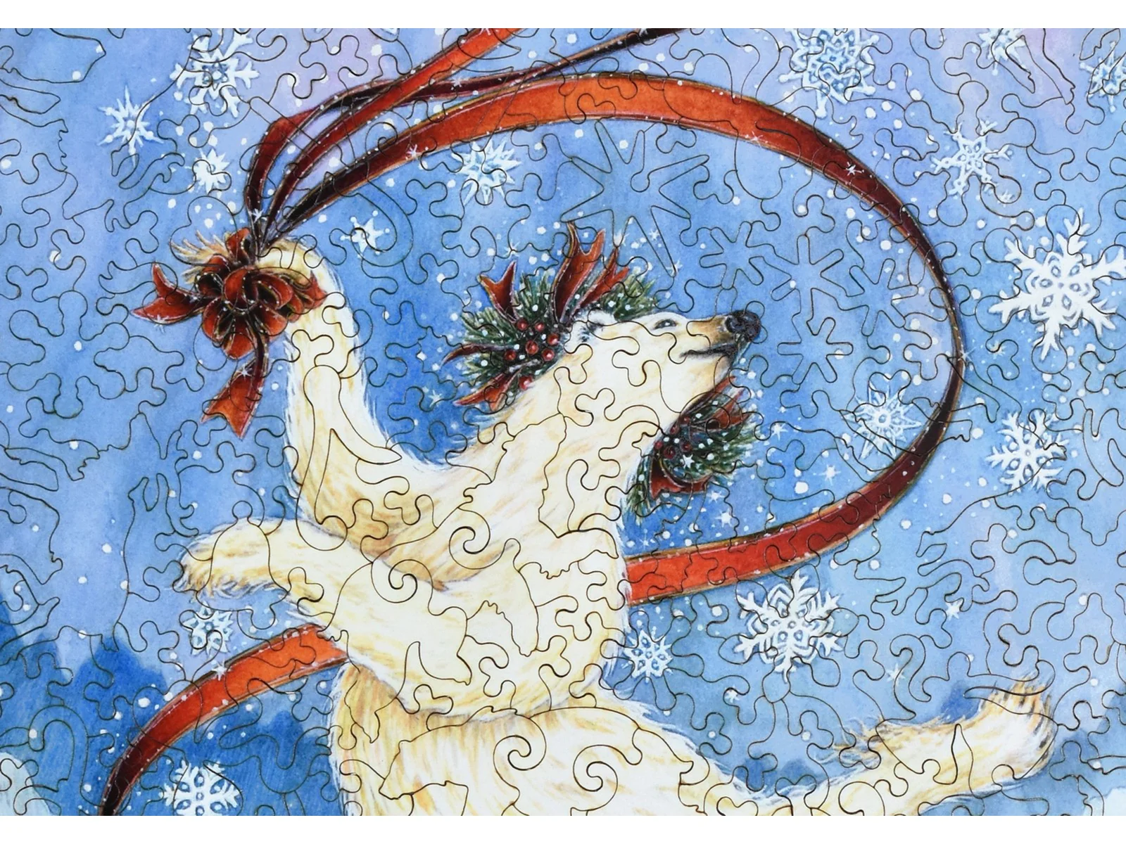 Polar Ribbon Dance - Image 2