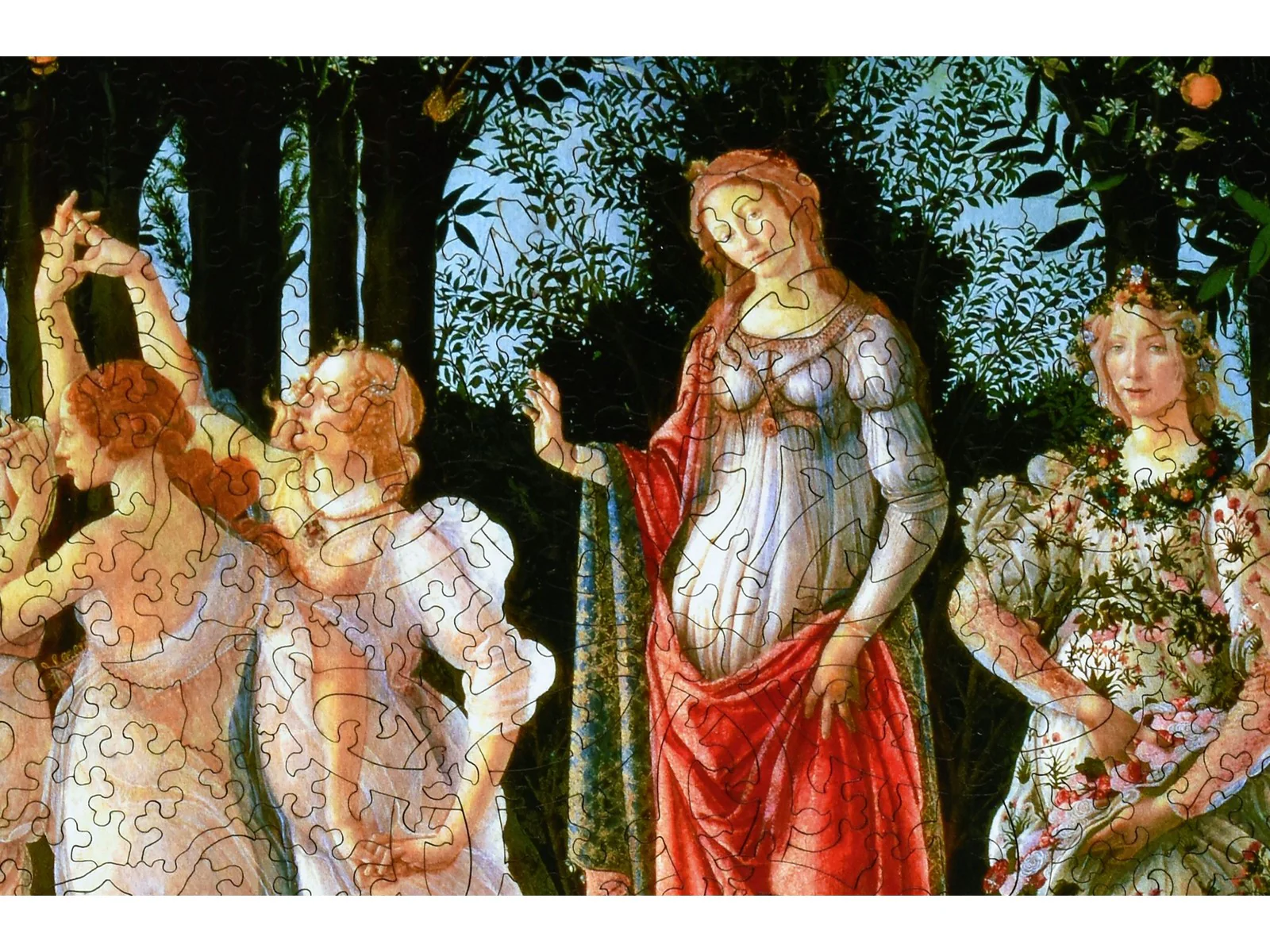 Primavera - Image 2