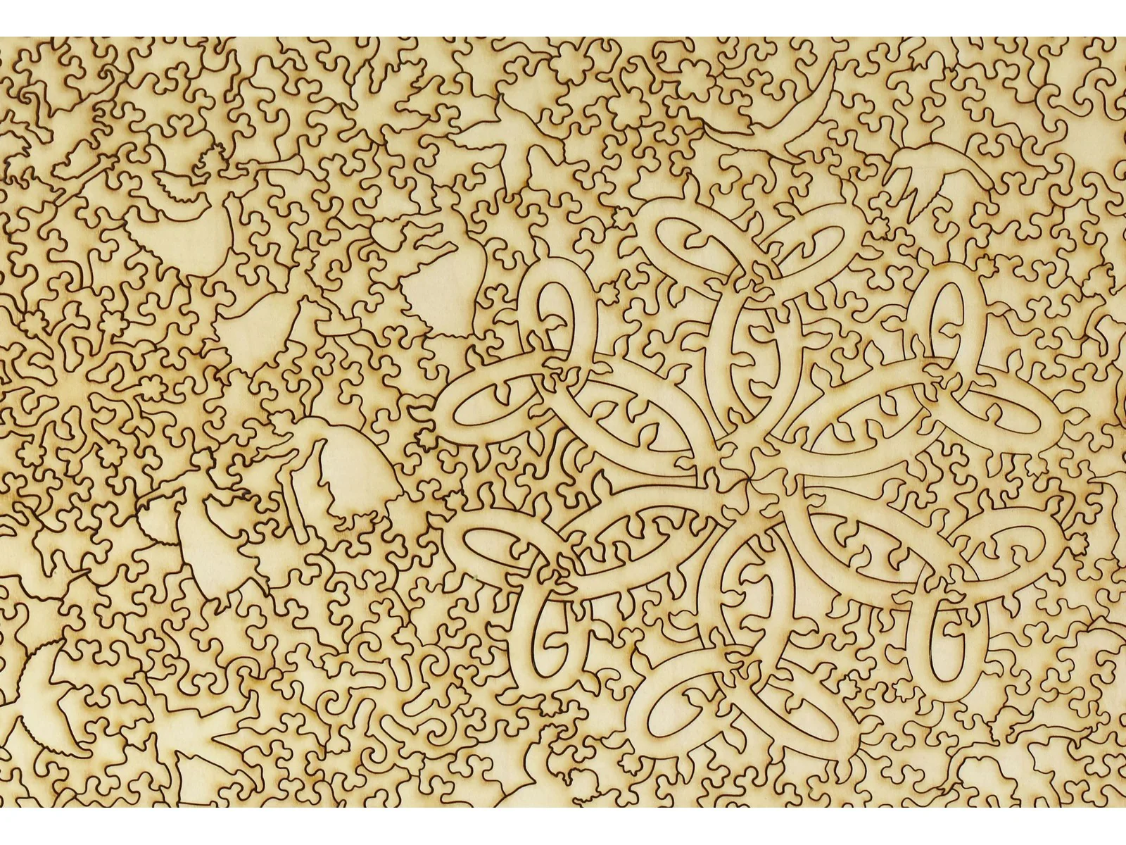 Primavera - Image 3