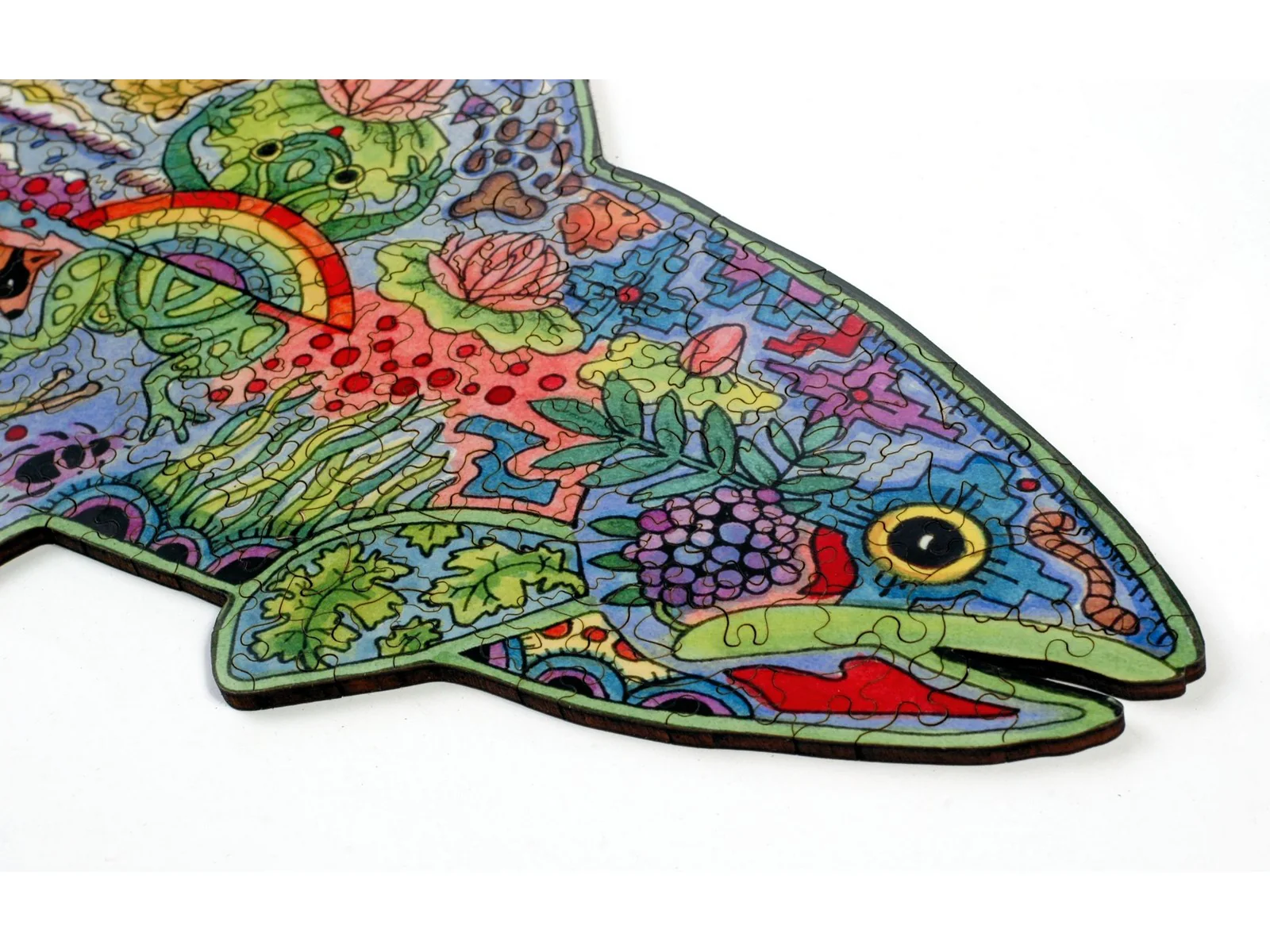 Rainbow Trout - Image 4