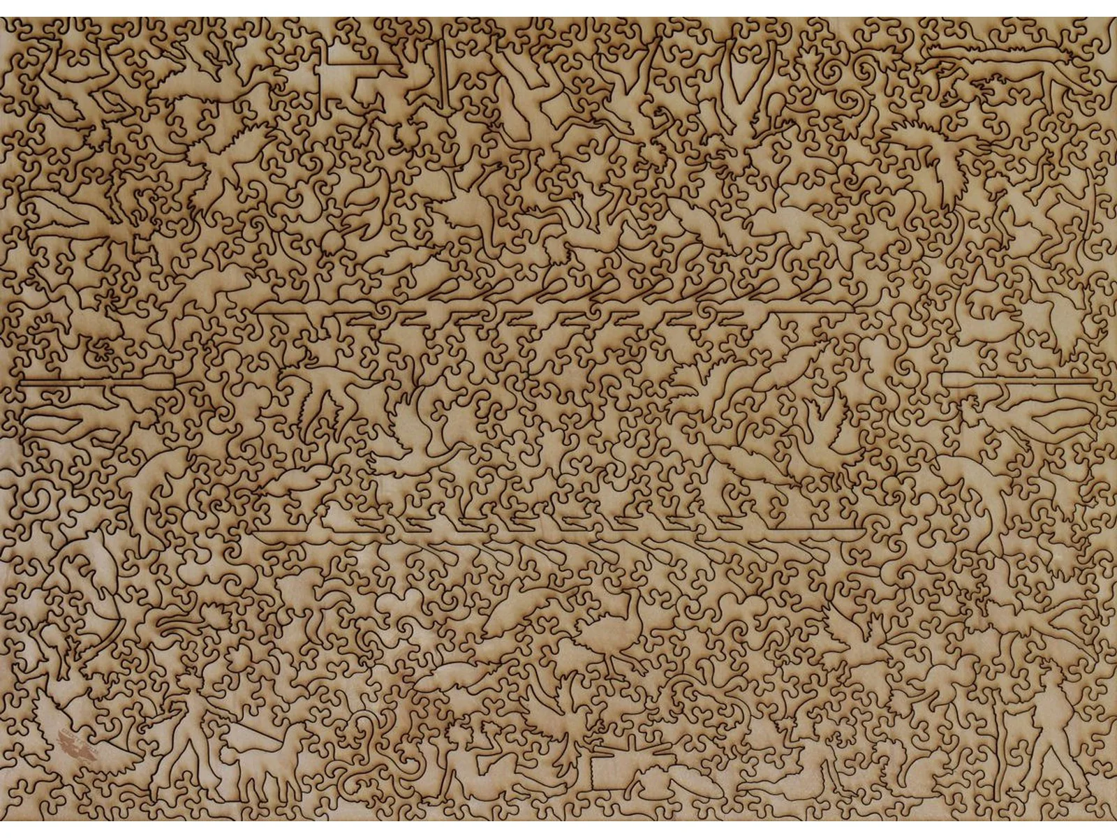 Regatta - Image 3