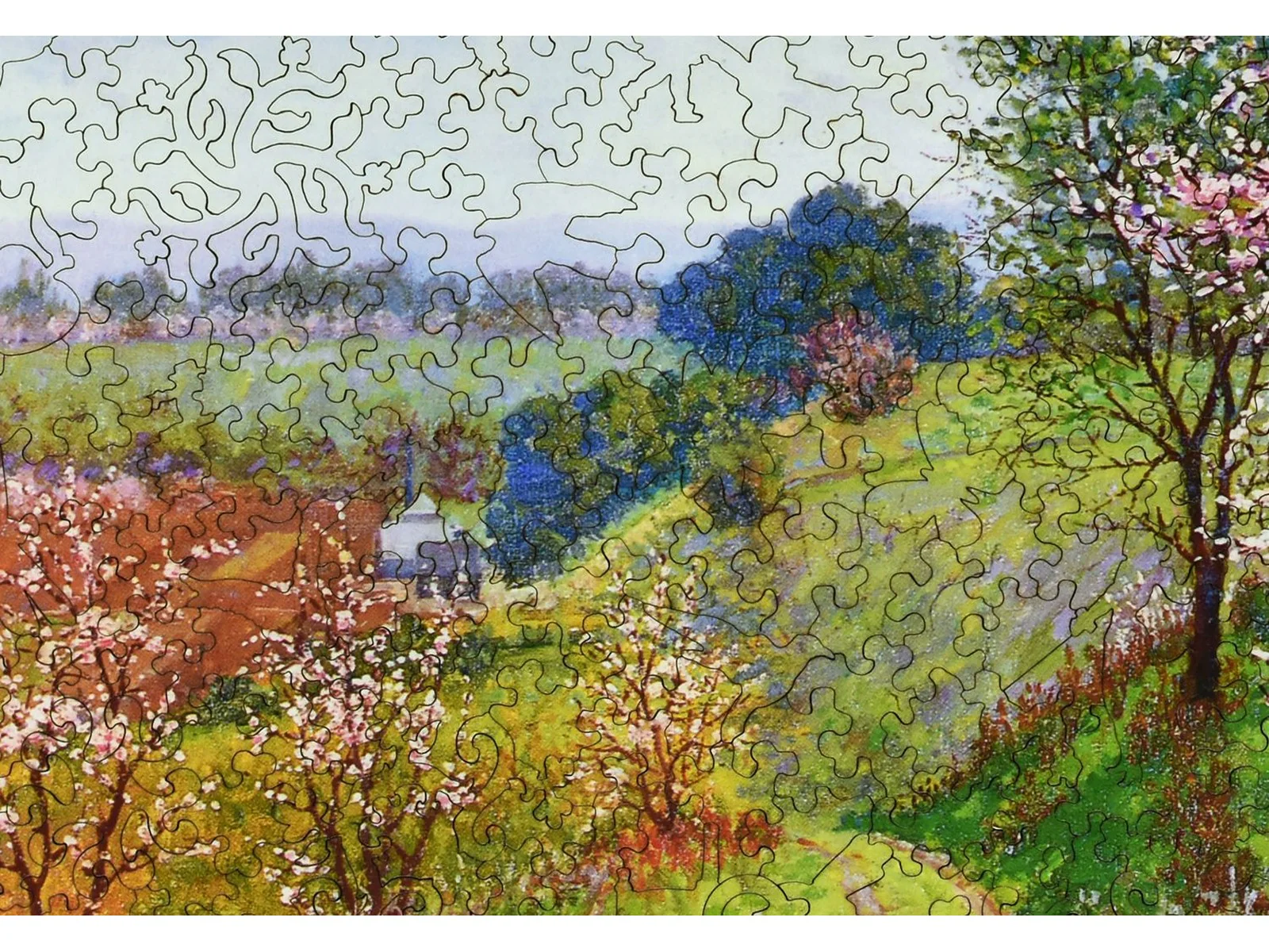 Road with Blossoming Trees - Image 2