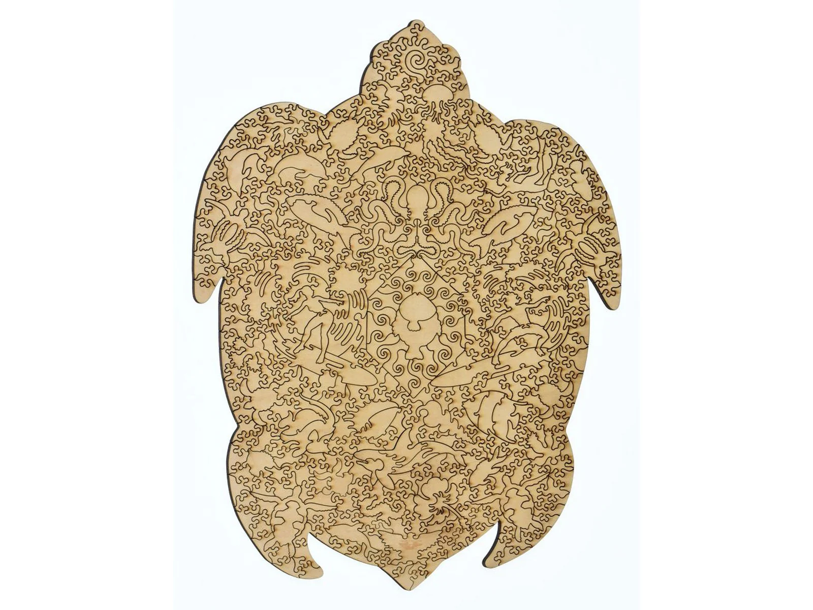 Sea Turtle - Image 3