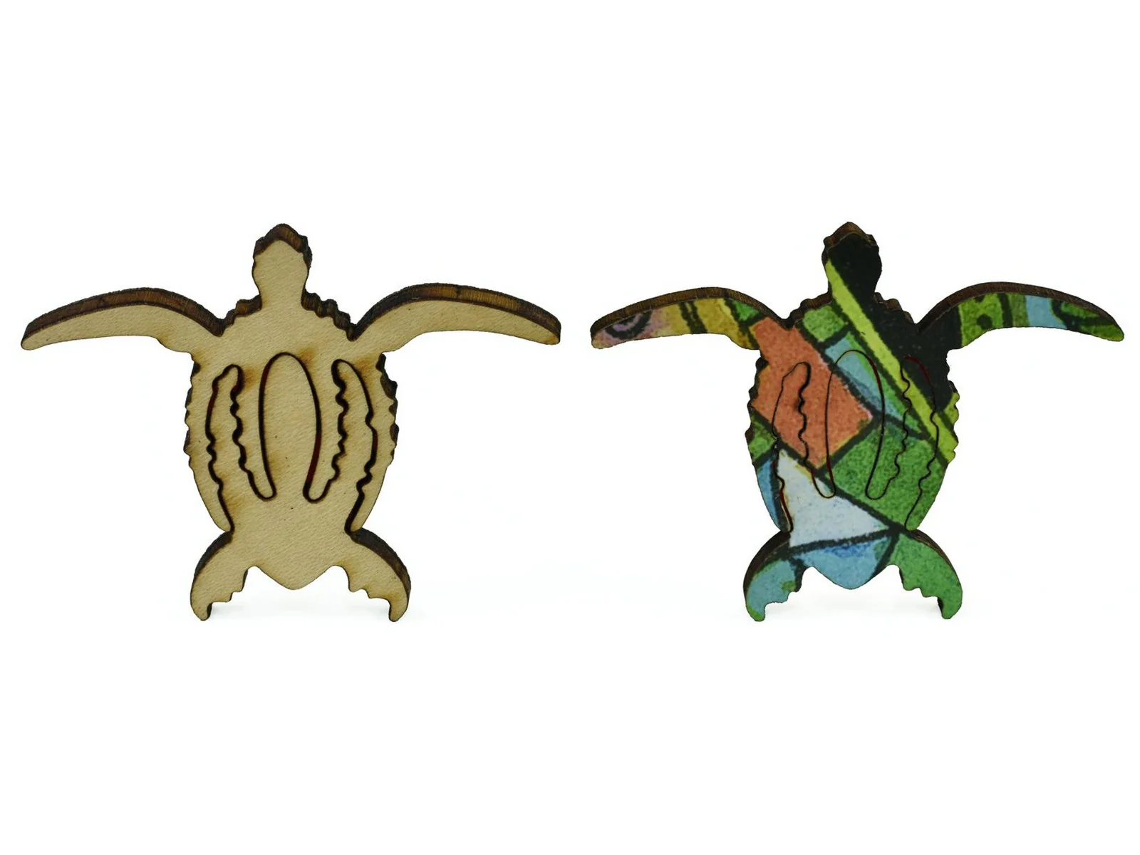 Sea Turtle - Image 5