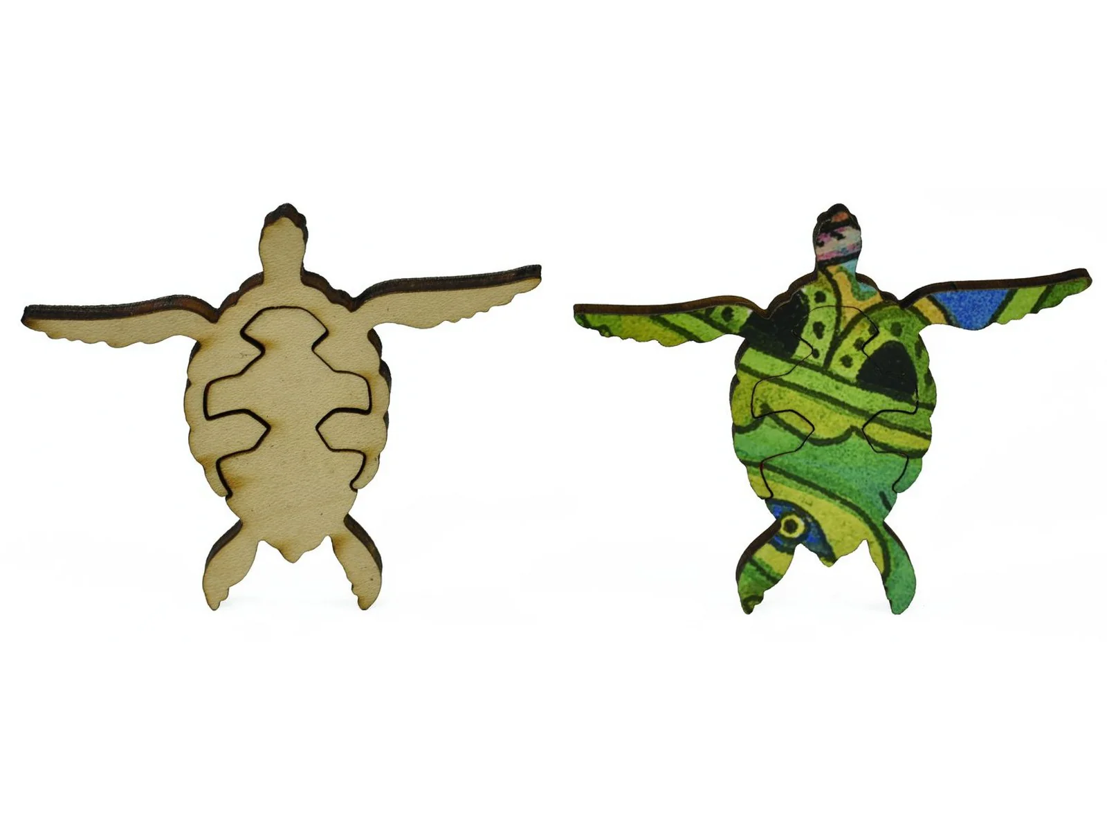 Sea Turtle - Image 6