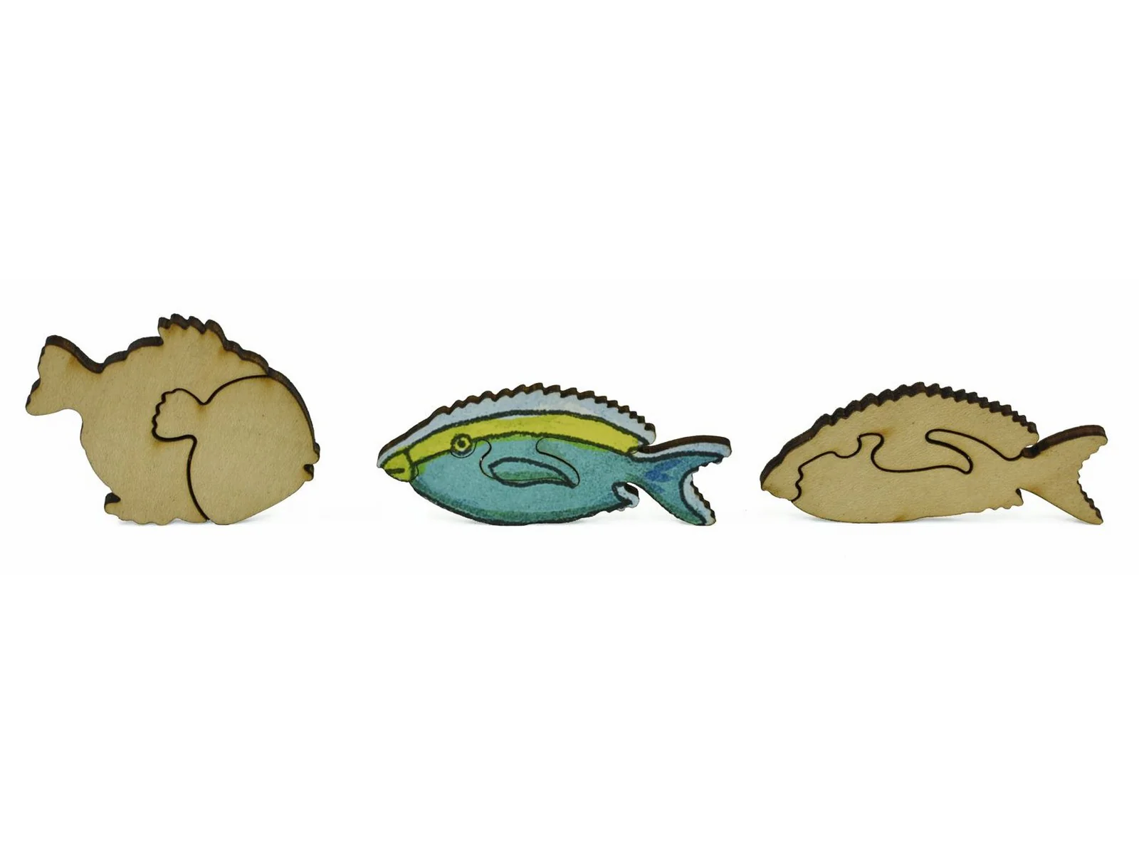 Sea Turtle - Image 7