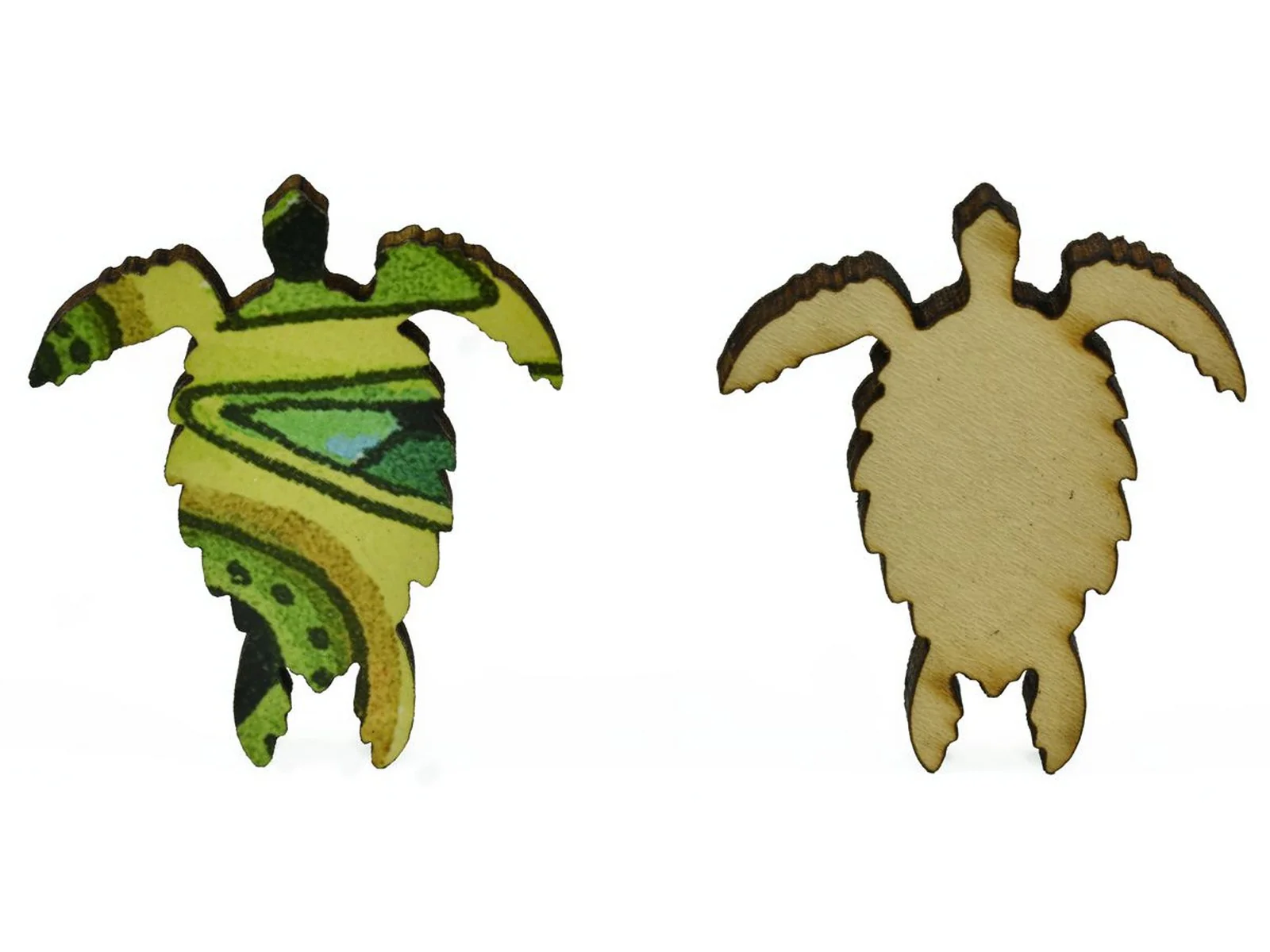 Sea Turtle - Image 8