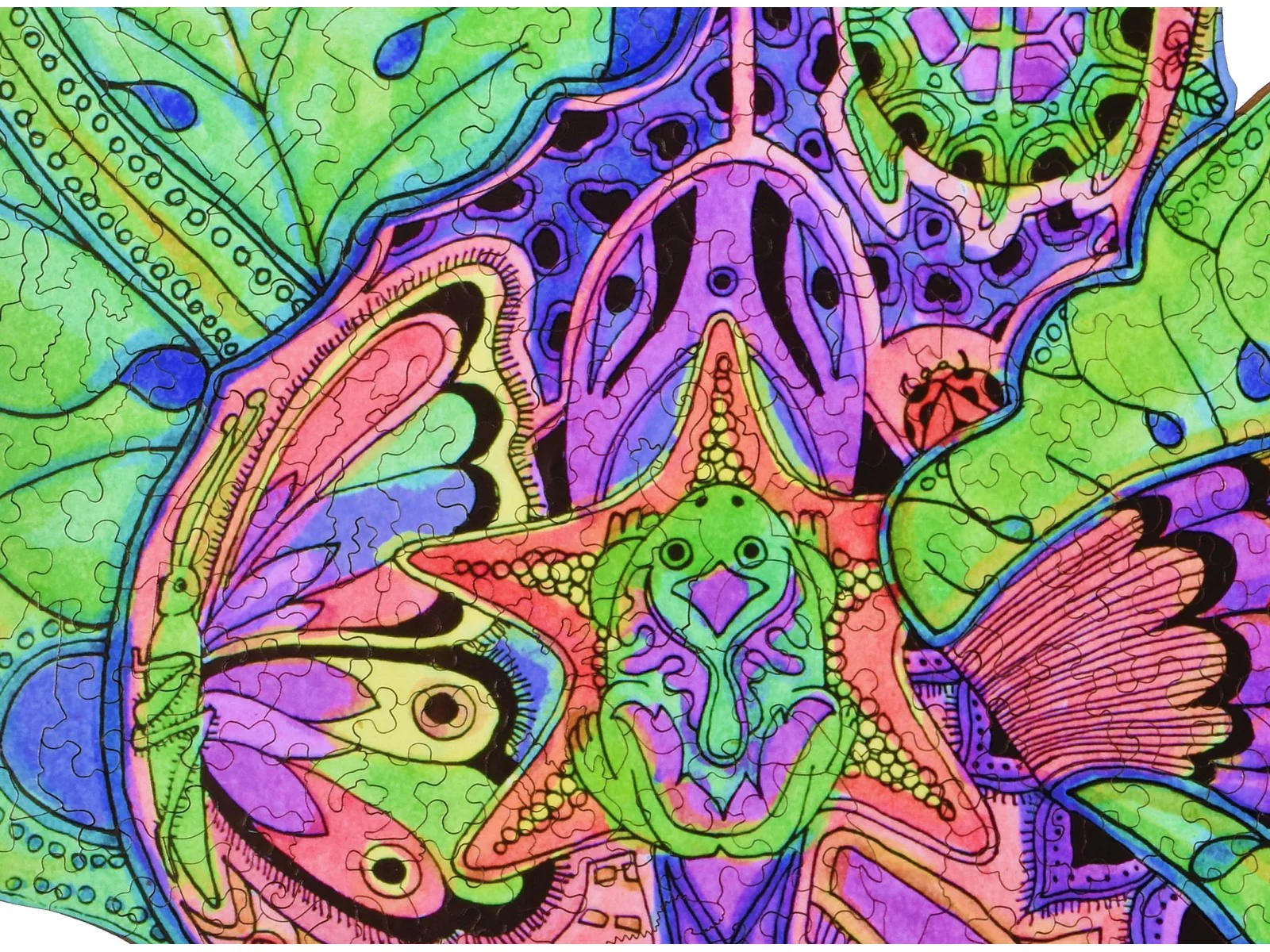 Seahorse - Image 2