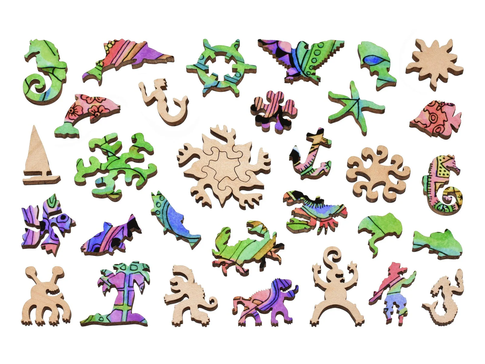 Seahorse - Image 4