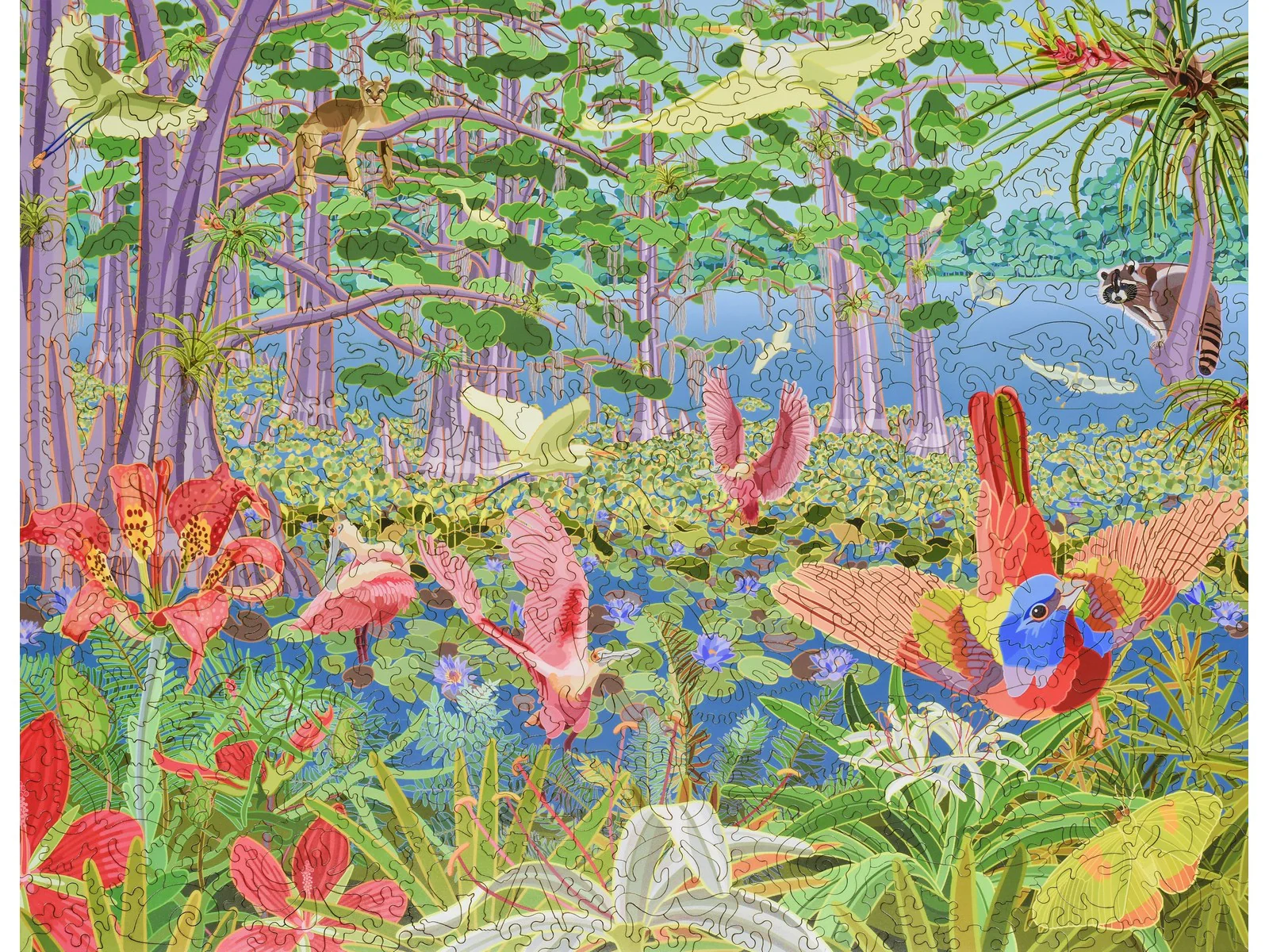 Spring in the Everglades, Florida