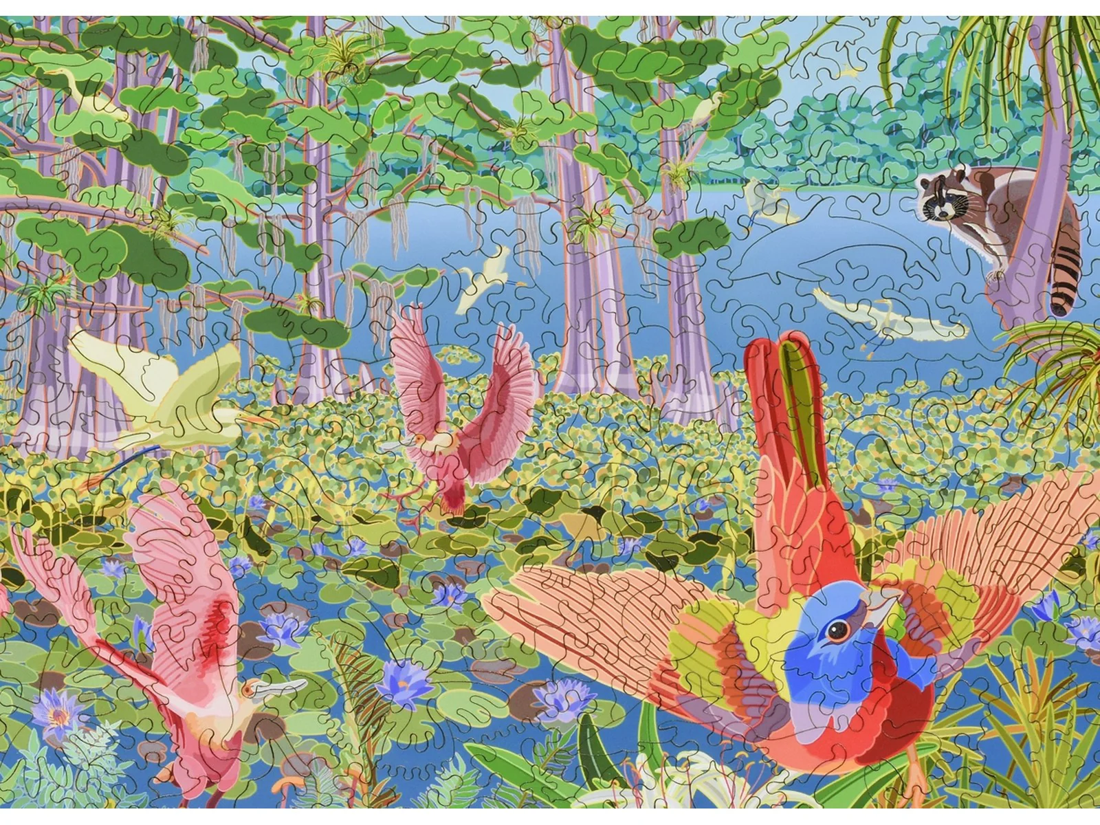 Spring in the Everglades, Florida - Image 2