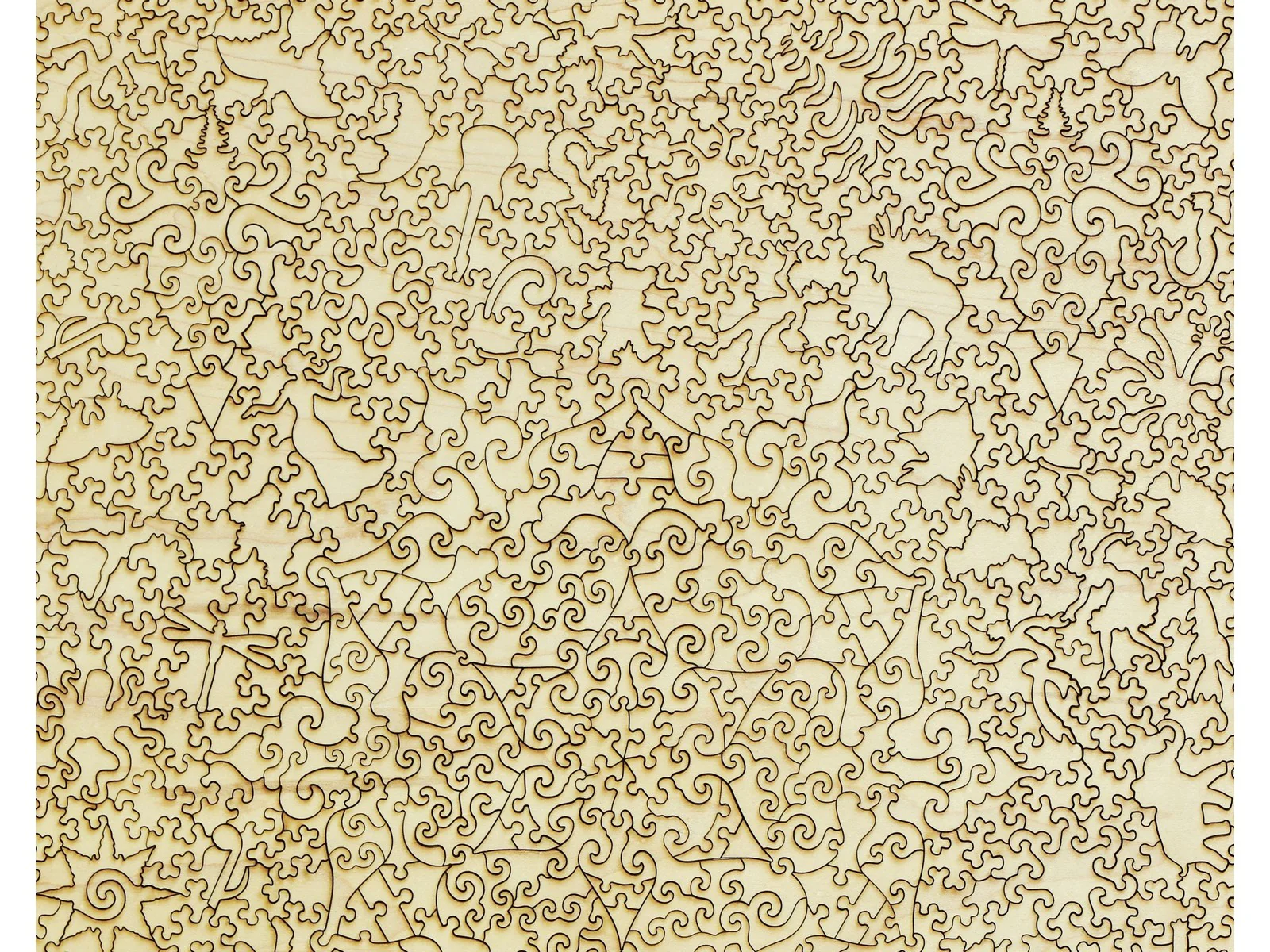 Sugar Magnolia - Image 3