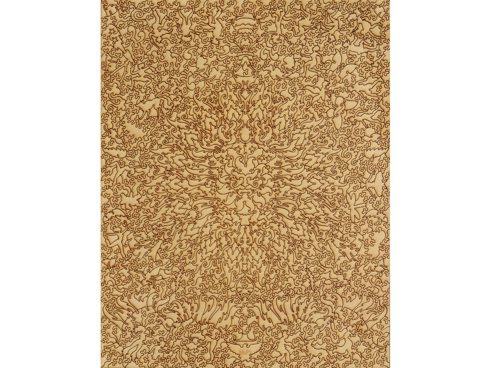 Sunshine Daydream - Image 3