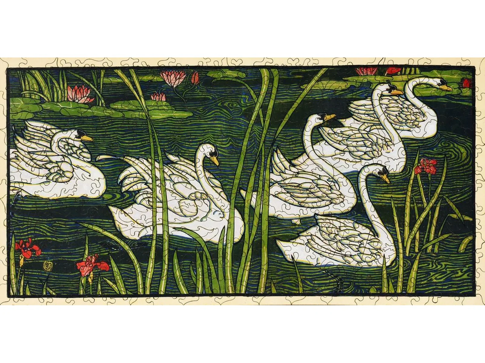Swans