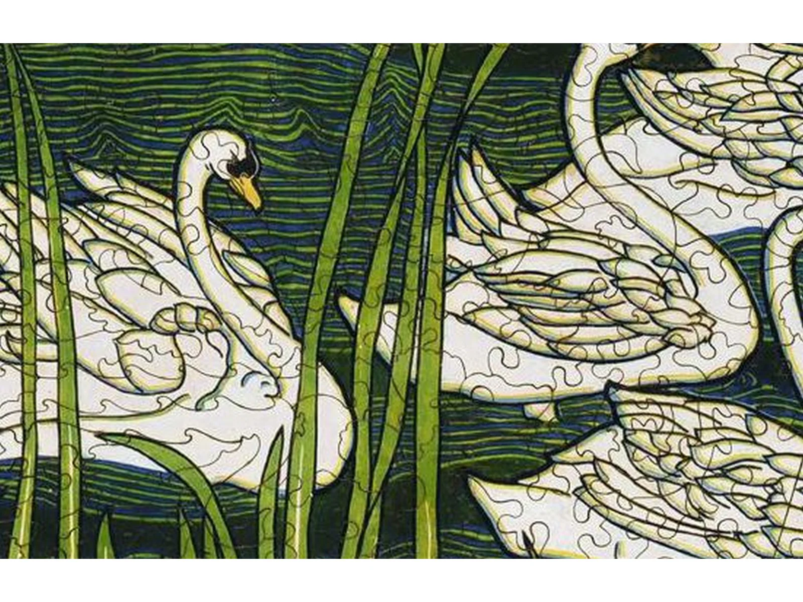 Swans - Image 2