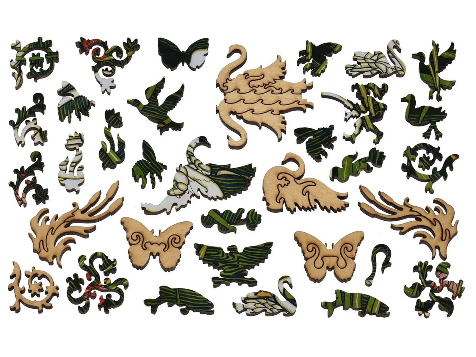 Swans - Image 4