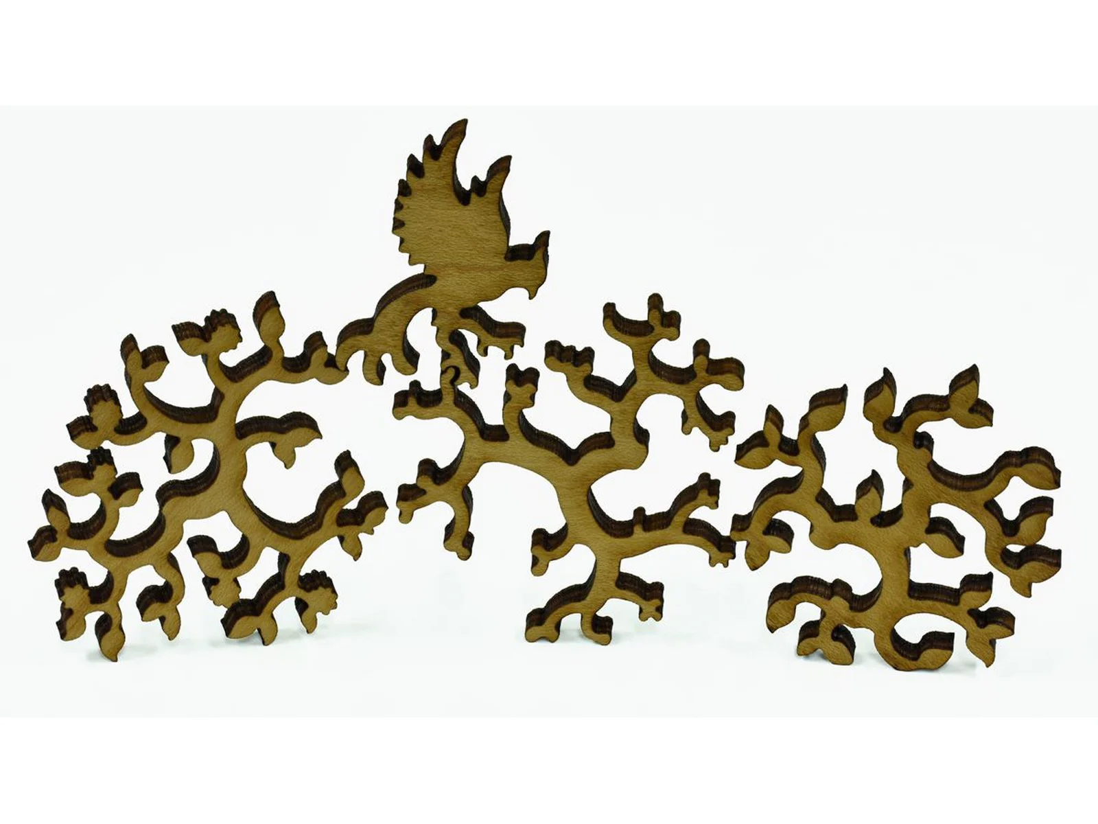 The Louisiana Tree of Life - Image 7