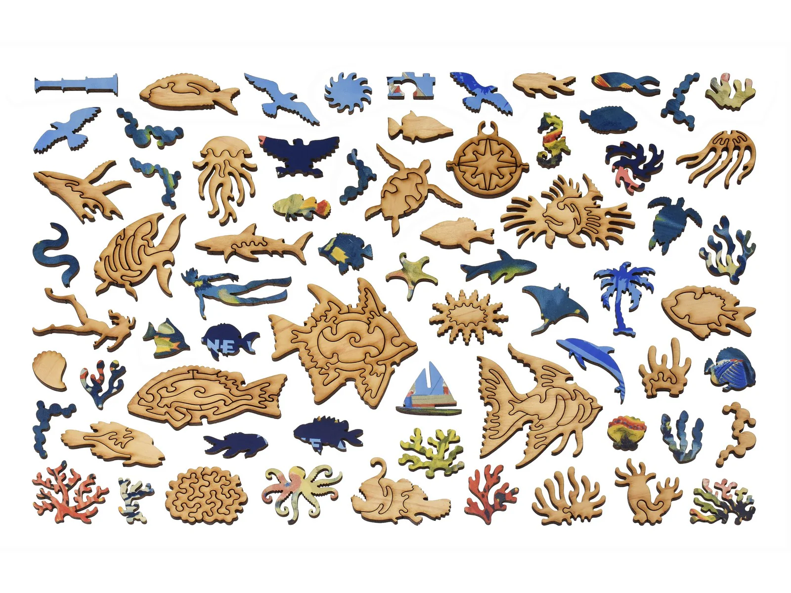 The Marine Wonders of the Great Barrier Coral Reef - Image 4