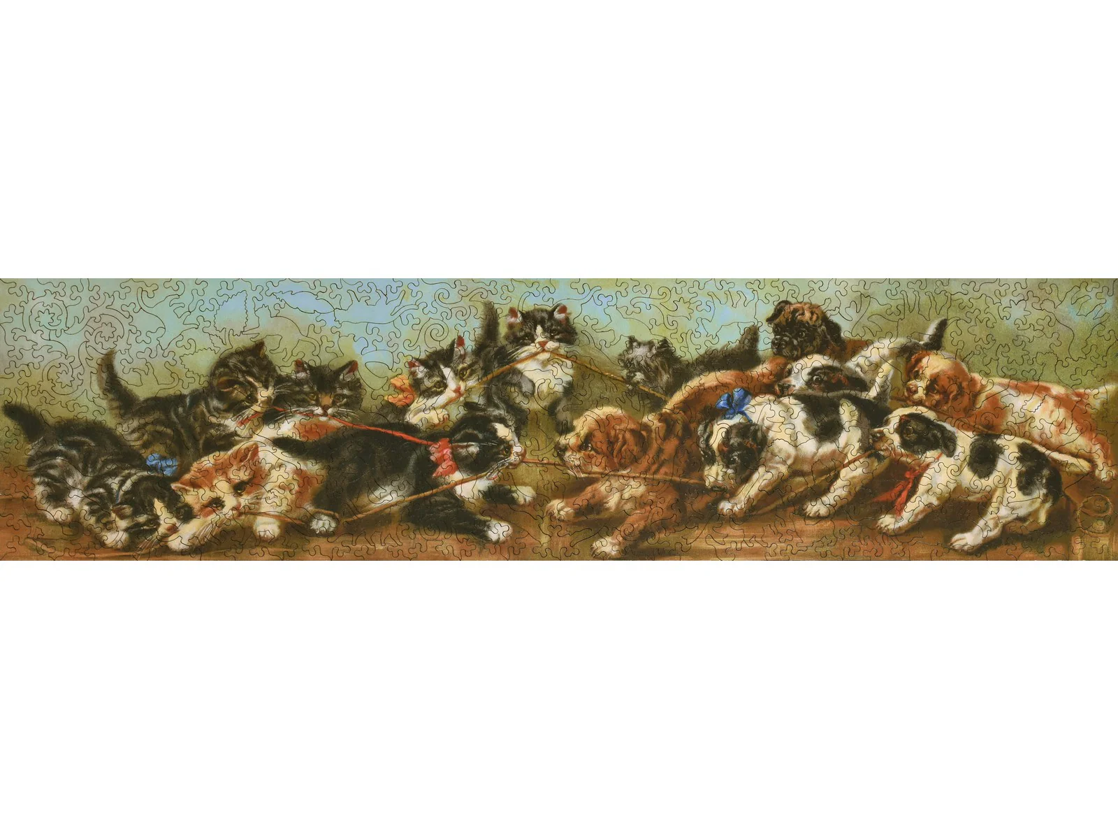 The Tug of War