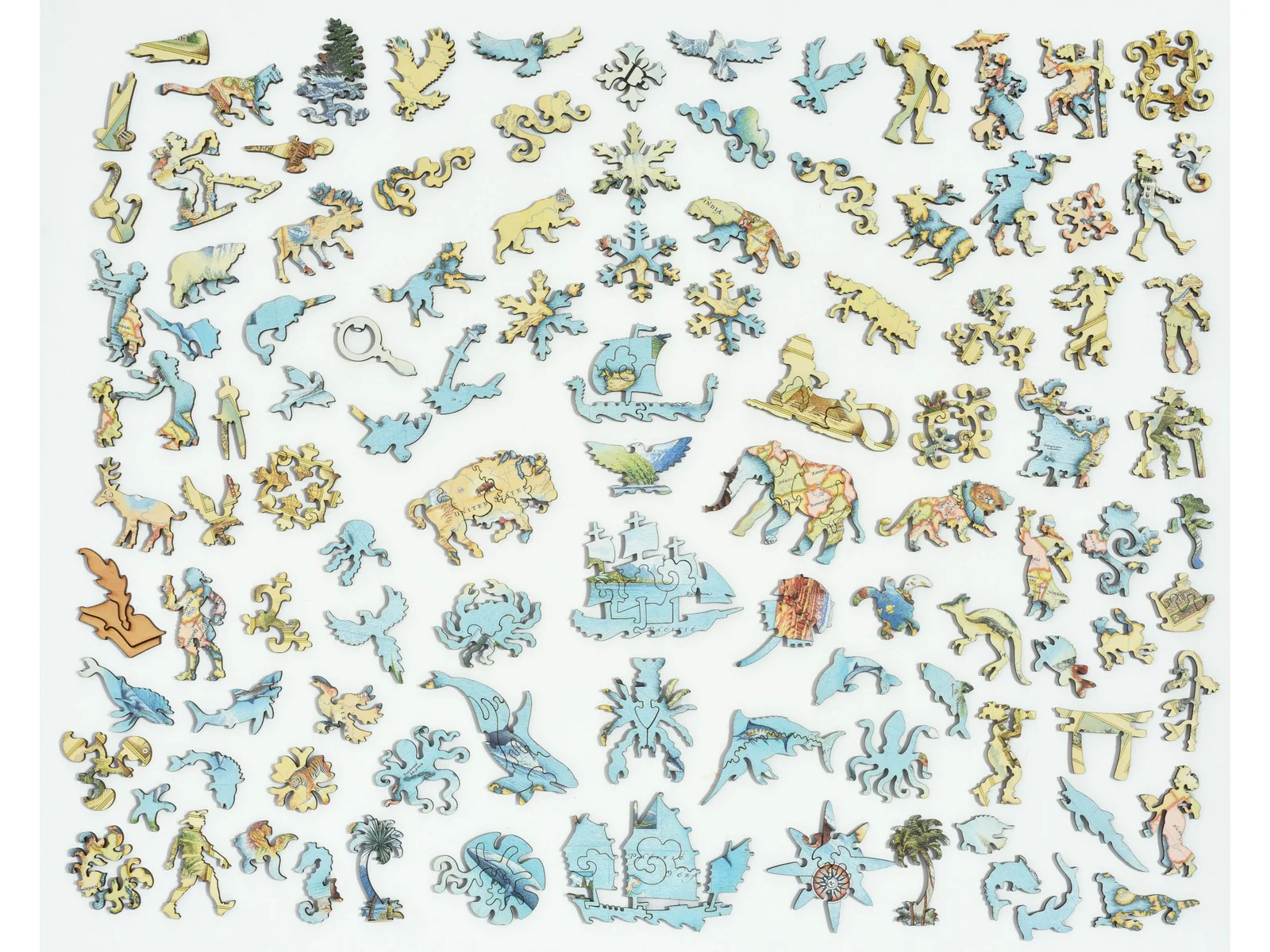 The World Map - Image 4