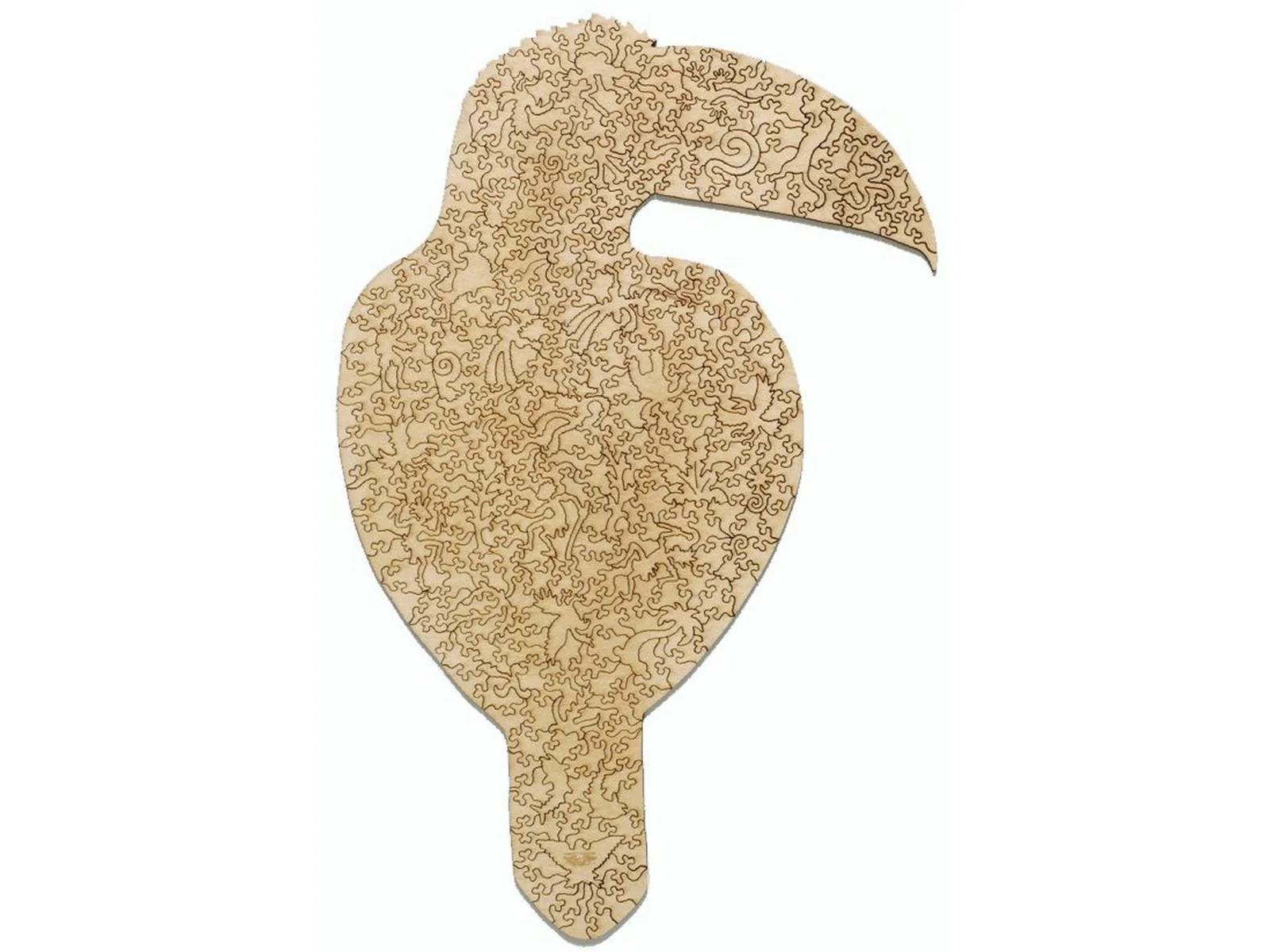 Toucan - Image 3