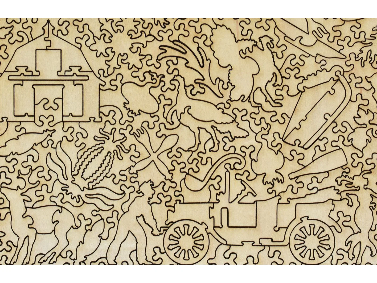 Turkey Derby - Image 3