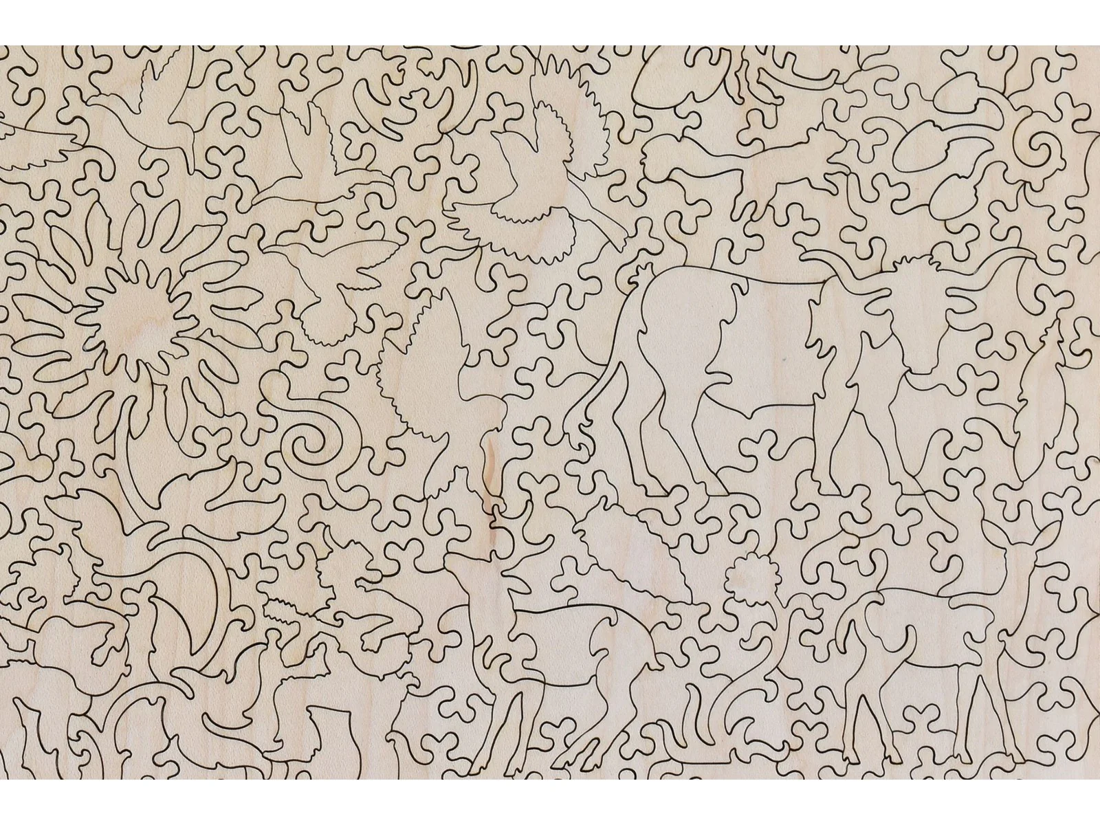 Vaqueros Andrés - Image 3
