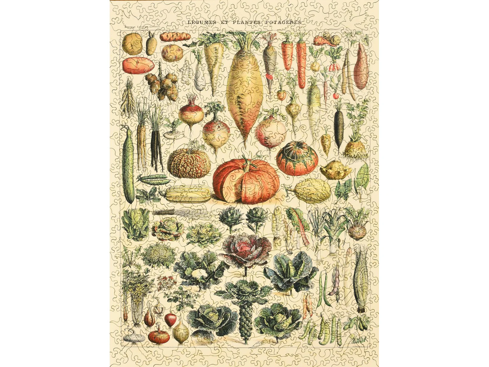 Vegetables and Plants