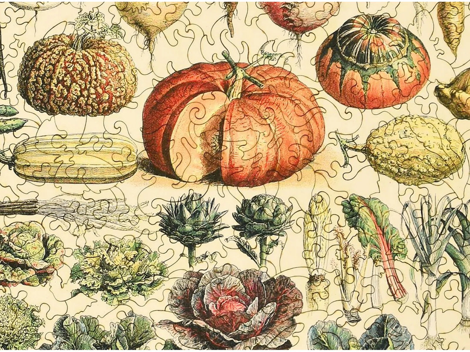 Vegetables and Plants - Image 2