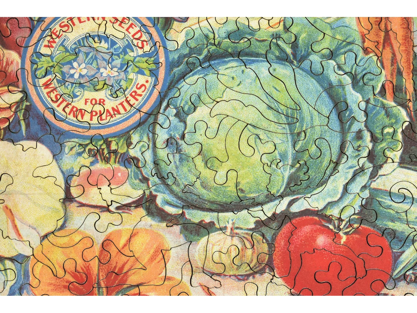 Western Seeds - Image 2
