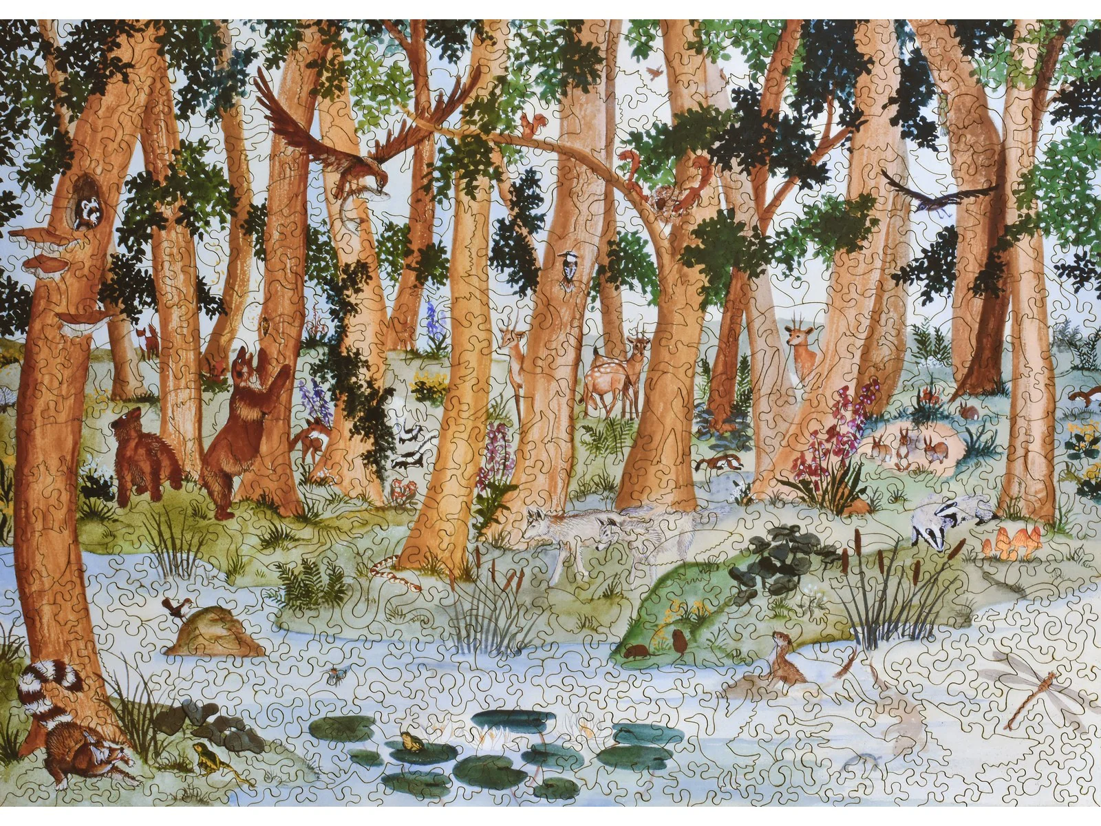 Woodland Scene
