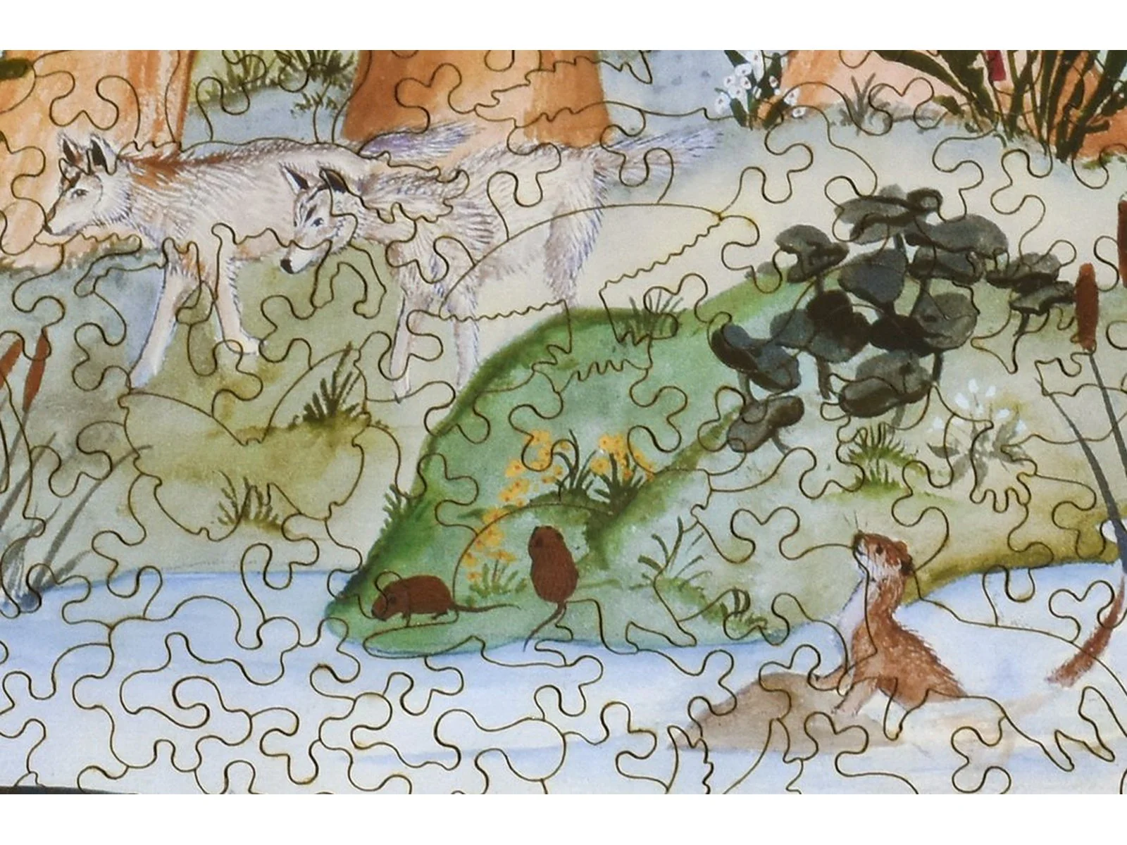 Woodland Scene - Image 2