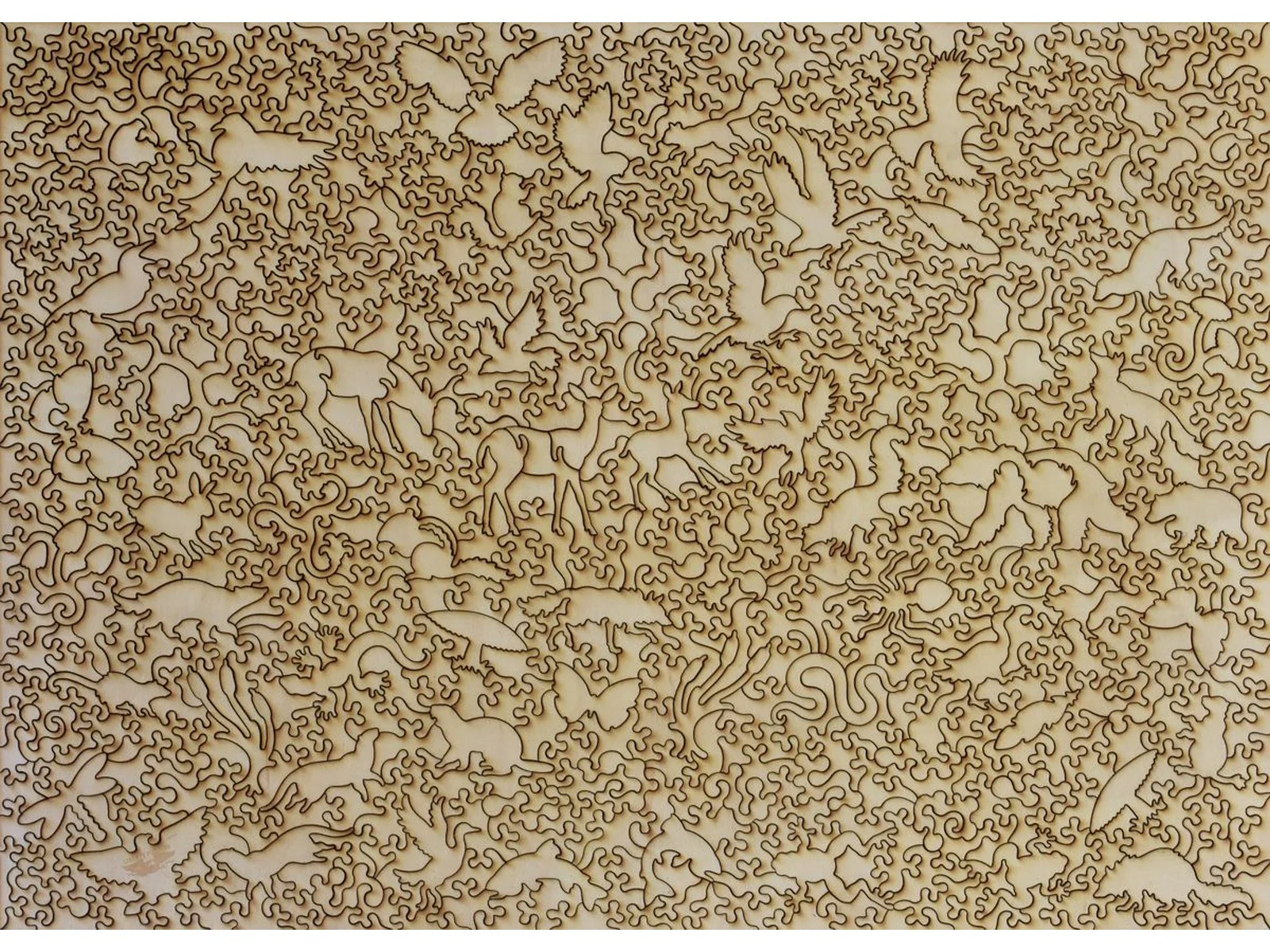 Woodland Scene - Image 3