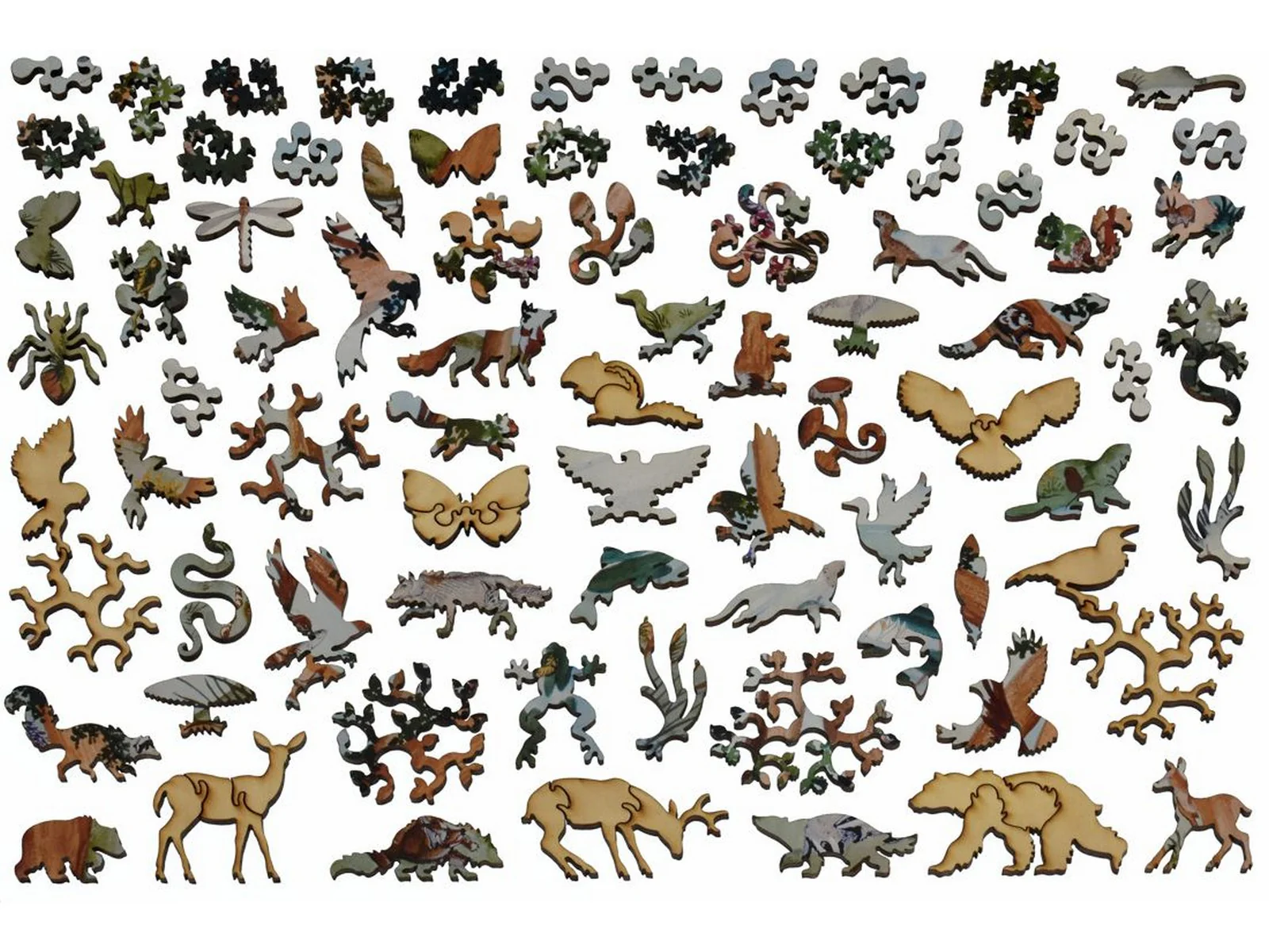 Woodland Scene - Image 4